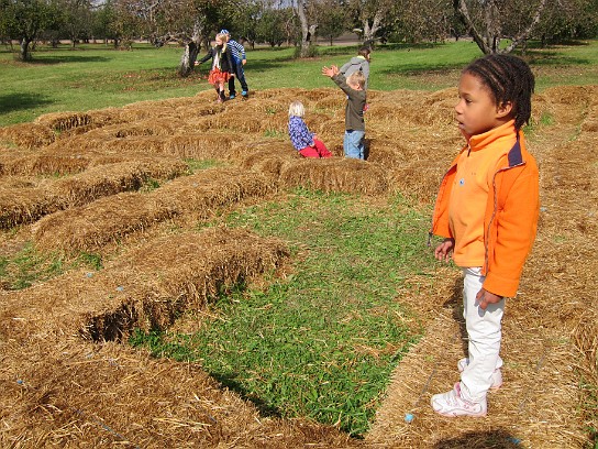 Alber Orchard